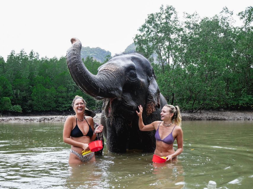 Krabi: Elephant Bathing Session at Krabi Elephant Shelter - Who will enjoy this elephant experience?