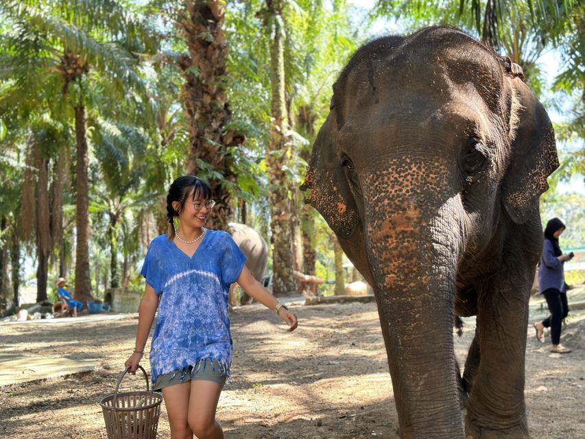 Krabi: Elephant Bathing Session at Krabi Elephant Shelter - Feeding the elephants and learning their habits