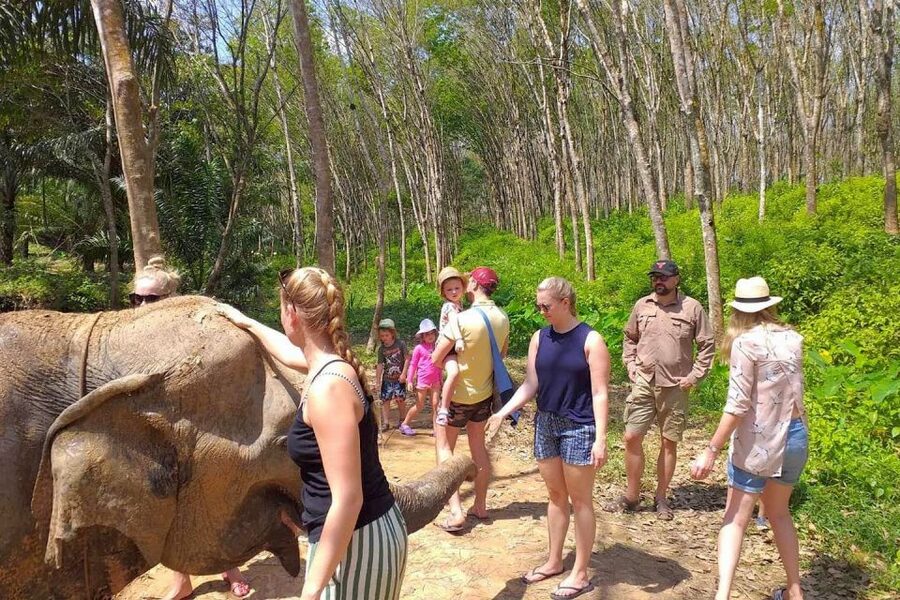 Krabi: Elephant Care House Guided Tour with Hotel Transfers - A 45-minute walk beside the stream