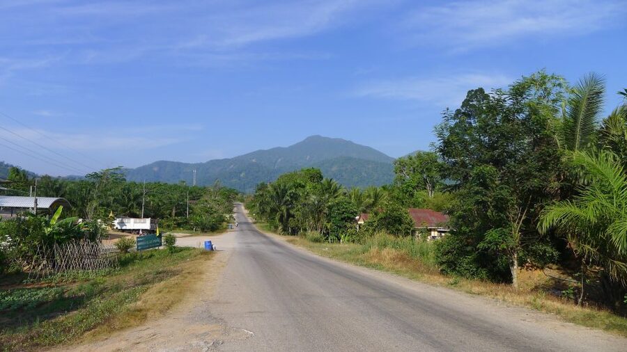 Krabi: Elephant Care House Guided Tour with Hotel Transfers - The first 15 minutes: safety, introductions, and food