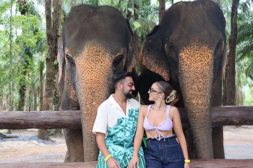Krabi: Elephant Feeding Program - Key points at a glance