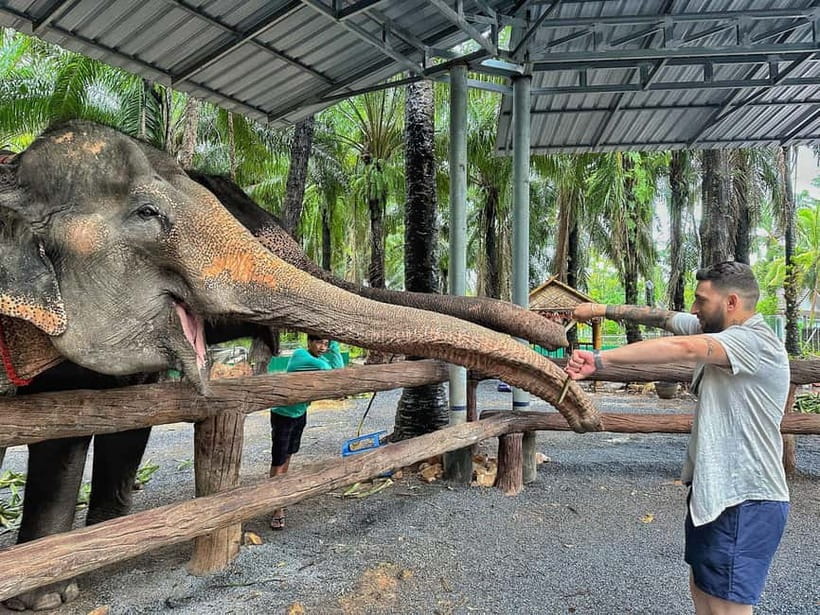 Krabi: Elephant Feeding Program with Food Preparation - What the 30-minute visit feels like