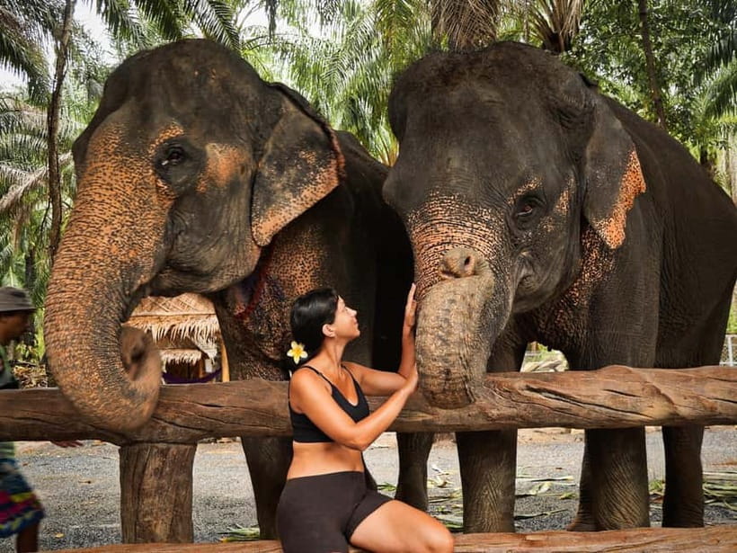 Krabi: Elephant Feeding Program with Food Preparation - Practical tips for a smoother visit