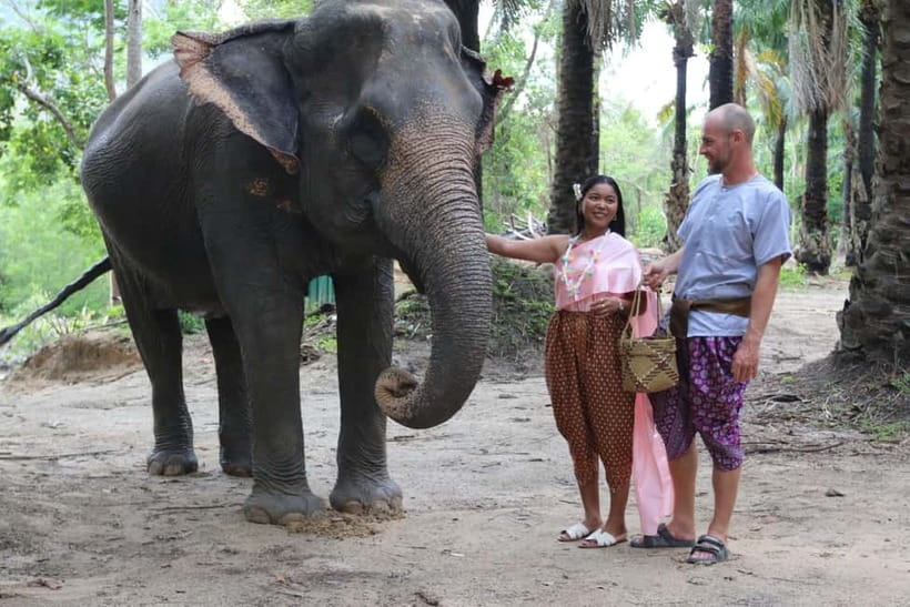 Krabi: Elephant Feeding Program with Traditional Thai Dress - Is $22 a fair price?
