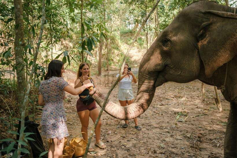 Krabi: Elephant Sanctuary (near Ao Nang) Visit - Water, fruit, coffee, and a welcome pause