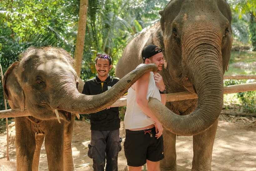 Krabi: Elephant Sanctuary (near Ao Nang) Visit - The ethical question: what to look for on site