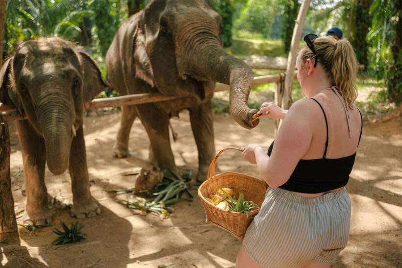 Krabi: Elephant Sanctuary (near Ao Nang) Visit - Should you book Love Elephant Sanctuary Krabi?