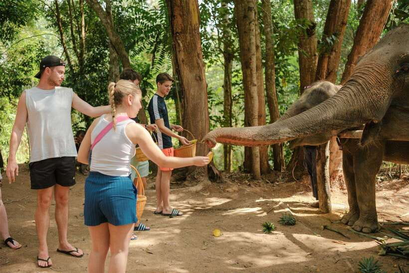 Krabi: Elephant Sanctuary (near Ao Nang) Visit - Old tools and a lesson in elephant behavior