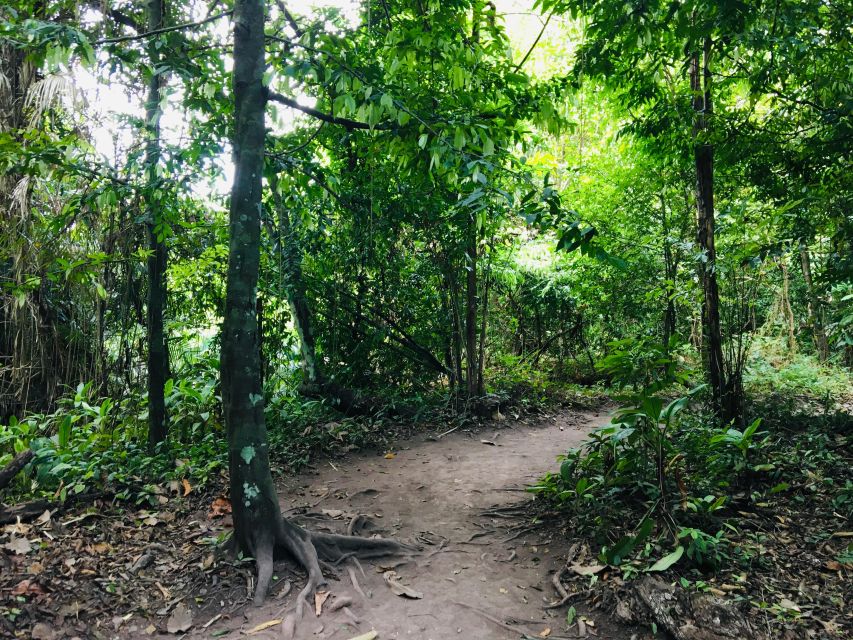 Krabi: Emerald Pool and Hot Springs Waterfall Half-Day Trip - A rainforest escape beyond Krabi’s beaches