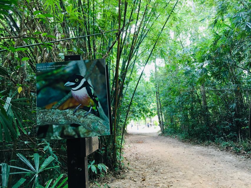 Krabi: Emerald Pool and Hot Springs Waterfall Half-Day Trip - What the forest walk adds
