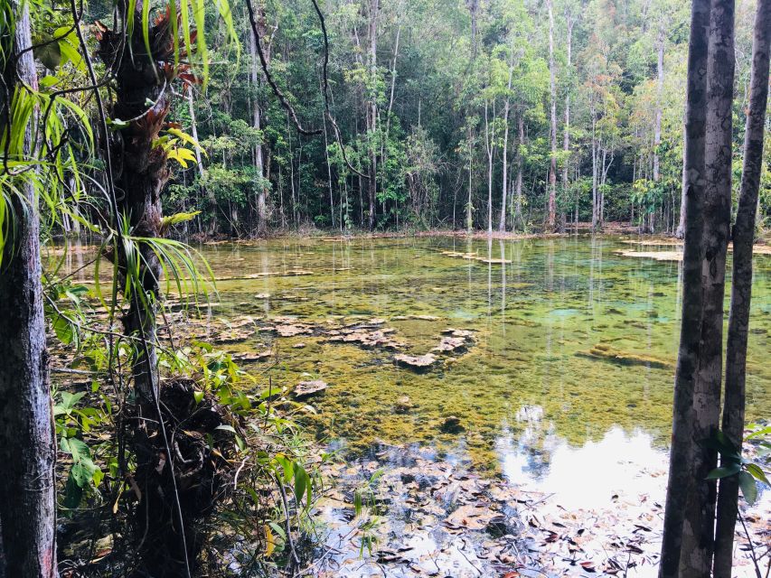Krabi: Emerald Pool and Hot Springs Waterfall Half-Day Trip - Practical advice for a smoother day