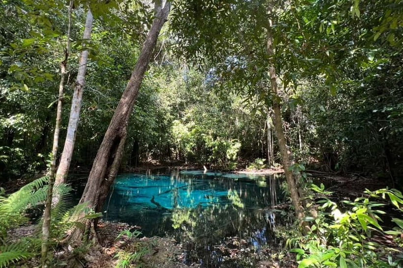 Krabi: Emerald Pool, Hot Springs, and Kayaking Tour - Should you book this Krabi nature tour?