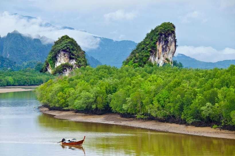 Krabi: Emerald Pool, Hot Springs & Krabi Town Day Tour - What to bring and what to expect on site