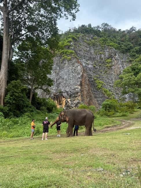 Krabi: Ethical Elephant Sanctuary & Tiger Cave Temple Tour - Key points
