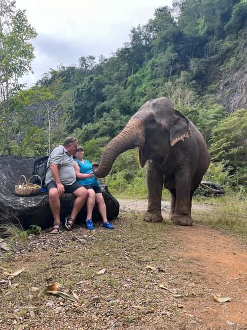 Krabi: Ethical Elephant Sanctuary & Tiger Cave Temple Tour - Taking on Tiger Cave Temple’s 1,237 steps