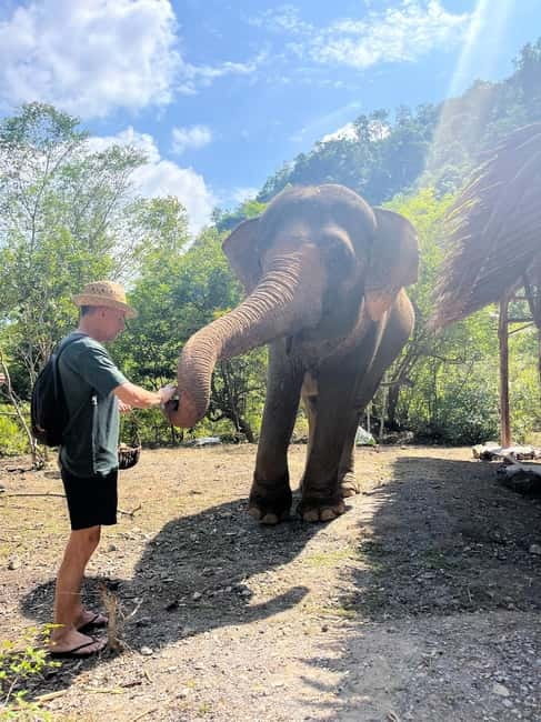 Krabi: Ethical Elephant Sanctuary & Tiger Cave Temple Tour - How this tour compares with doing both stops alone