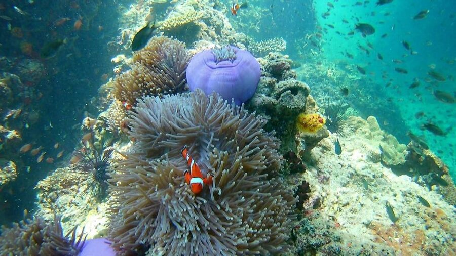 Krabi: Freediving and Snorkeling at Yawasam and Talu Island - The ride back past Railay