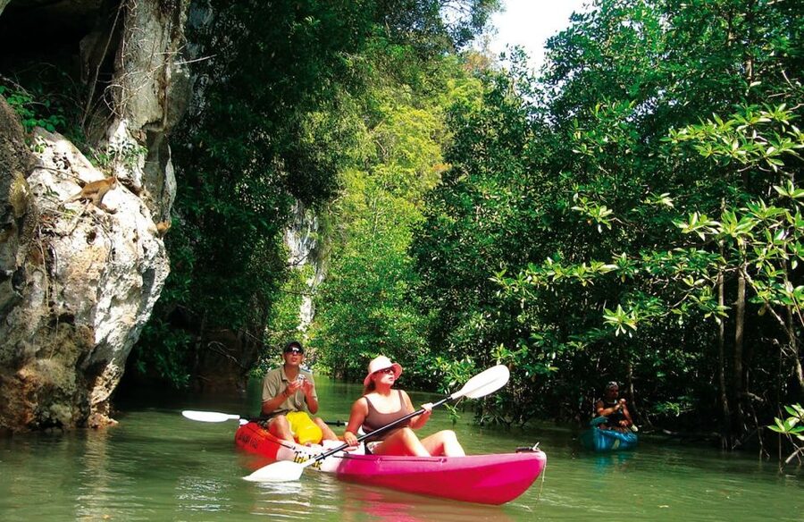 Krabi: Guided Kayaking Tour at Ao Thalane - Paddling through mangroves, canyons, and caves
