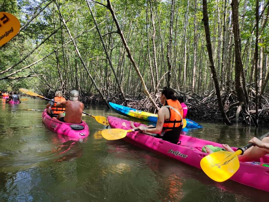 Krabi: Half-Day Kayak Adventure at Ao Thalane - The 30-minute ride from Ao Nang
