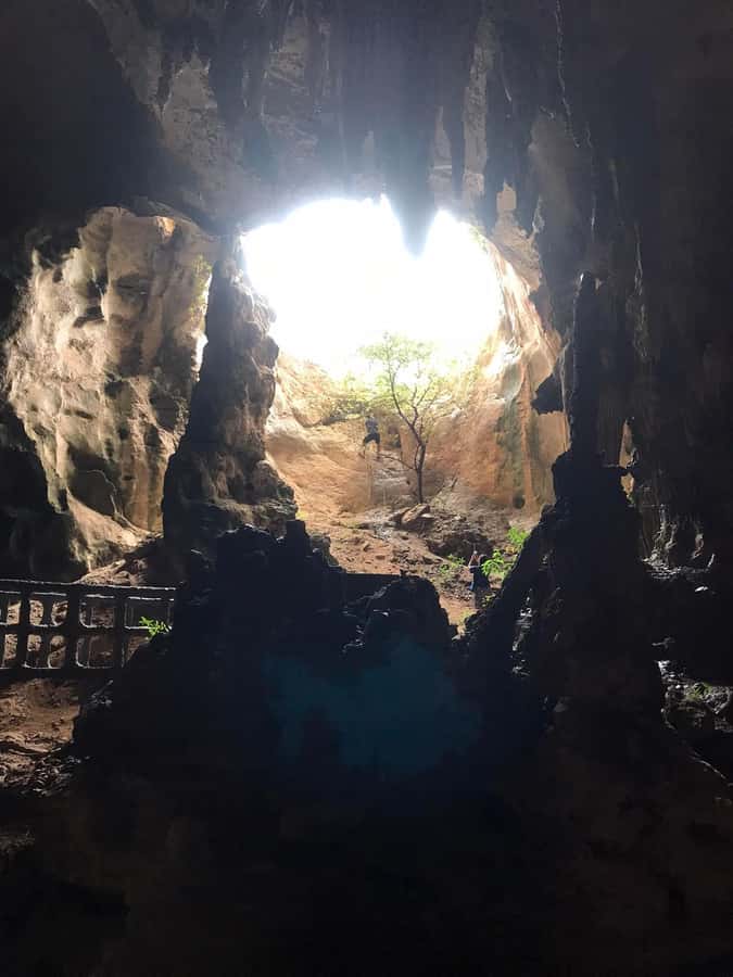 Krabi: Half-Day Mangrove Boat Trip And Khao Khanap Nam Cave - What the short schedule really means