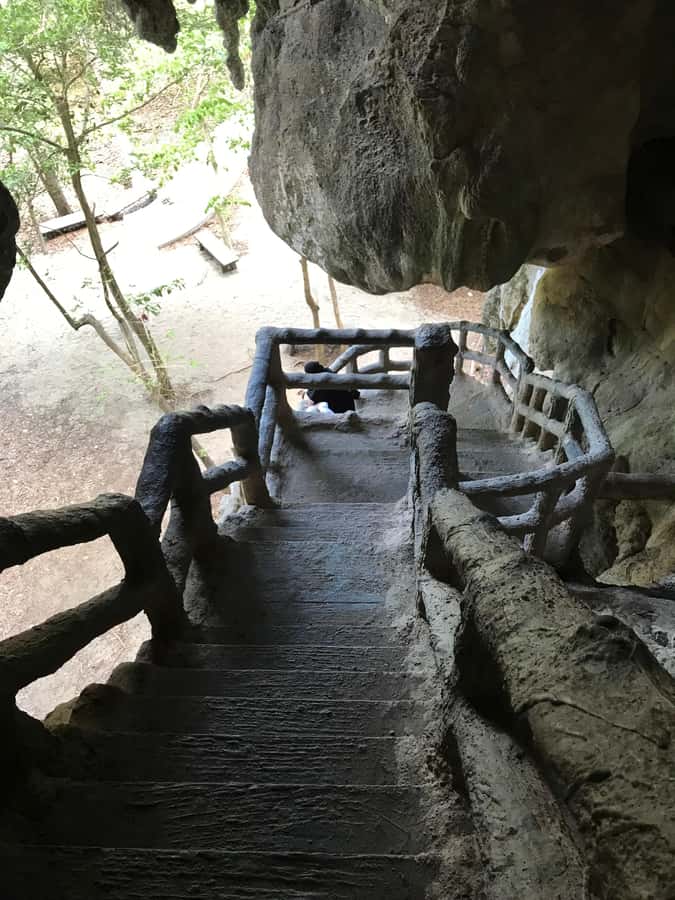Krabi: Half-Day Mangrove Boat Trip And Khao Khanap Nam Cave - Should you book the mangrove and cave tour?