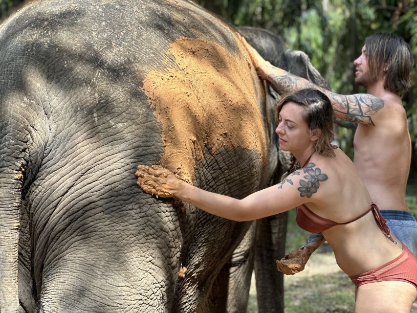 Krabi: Highlights Tour with Krabi Elephant Shelter - Meeting rescued elephants in Krabi