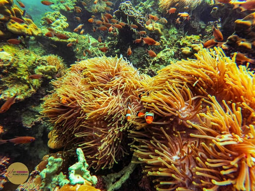 Krabi: Hong Islands Sunset, Bioluminescent Plankton and BBQ - Hong Island and the emerald lagoon