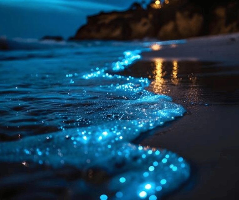 Krabi: Hong Islands Sunset, Bioluminescent Plankton and BBQ - Who will enjoy this trip most