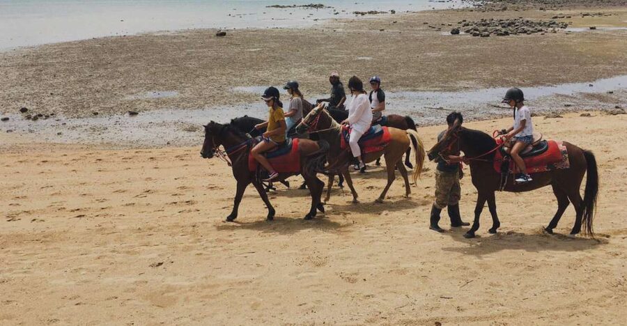 Krabi: Horseback Riding on the Beach - Key points to know before you book