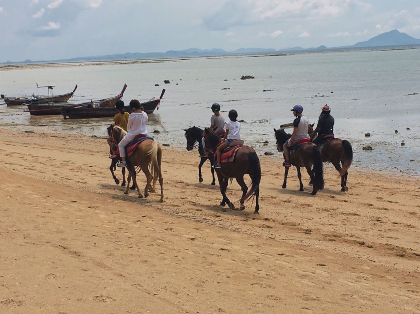 Krabi: Horseback Riding on the Beach - The 25-million-year-old shellfish fossil beach