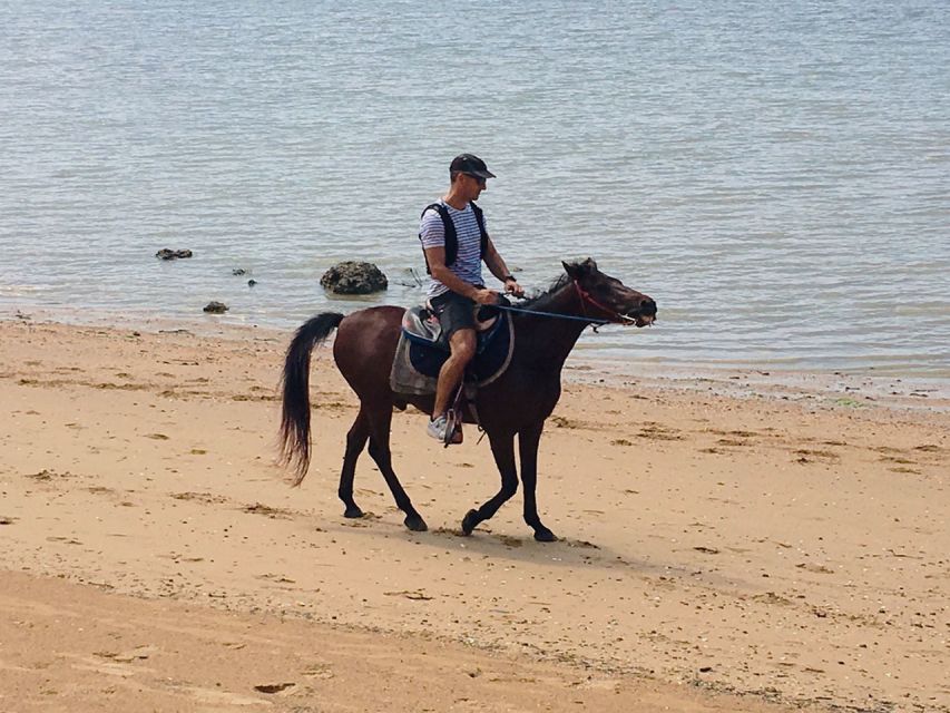 Krabi: Horseback Riding on the Beach - Choosing between one hour, two hours, and sunset
