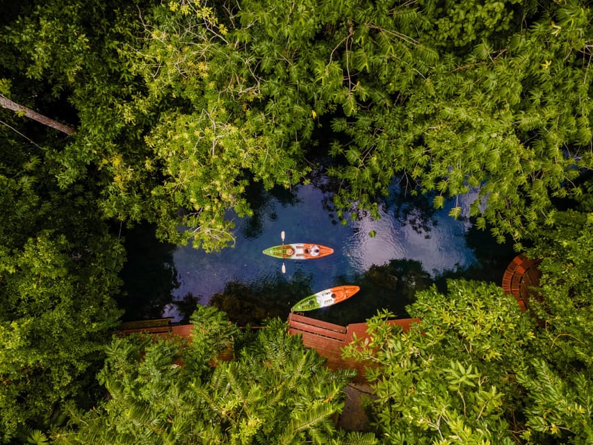 Krabi: Kayak Adventure through Ao Thalane Mangrove Forest - How much work is two hours of paddling?