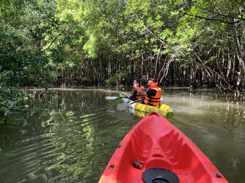 Krabi: Kayak in Mangrove Forest with Meal Aonang - Why this mangrove trip is worth your time