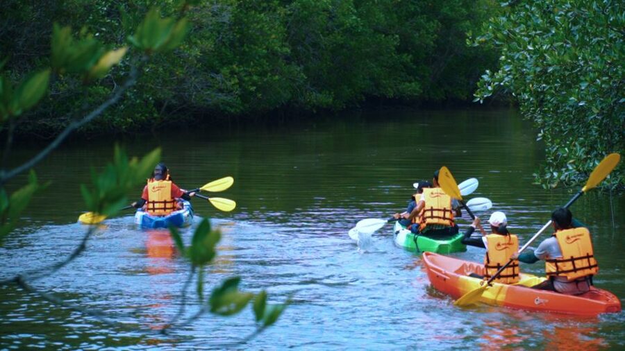 Krabi: Kayak in Mangrove Forest with Meal Aonang - Preparing for the mangrove forest