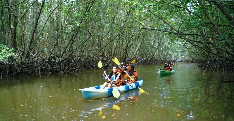 Krabi: Kayak in Mangrove Forest with Meal Aonang - Price, timing, and overall value