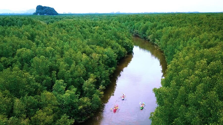 Krabi: Kayak in Mangrove Forest with Meal Aonang - Who should book this Ao Nam Mao outing?