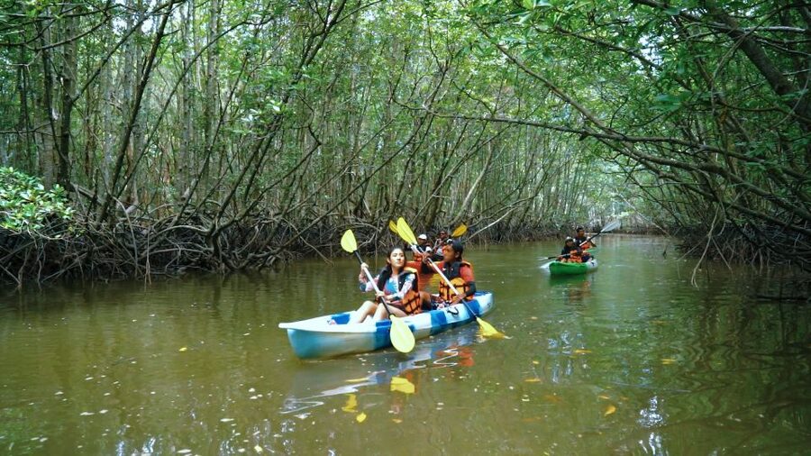 Krabi: Kayak in Mangrove Forest with Meal Aonang - Pickup from Ao Nang to Ao Nam Mao