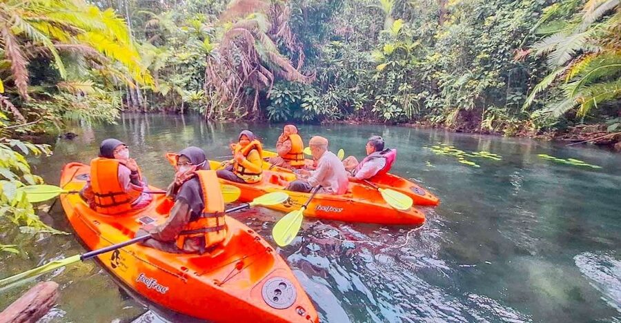 Krabi kayaking and swimming clongrood Tour - Khlong Root is a cool change from Krabi’s beaches