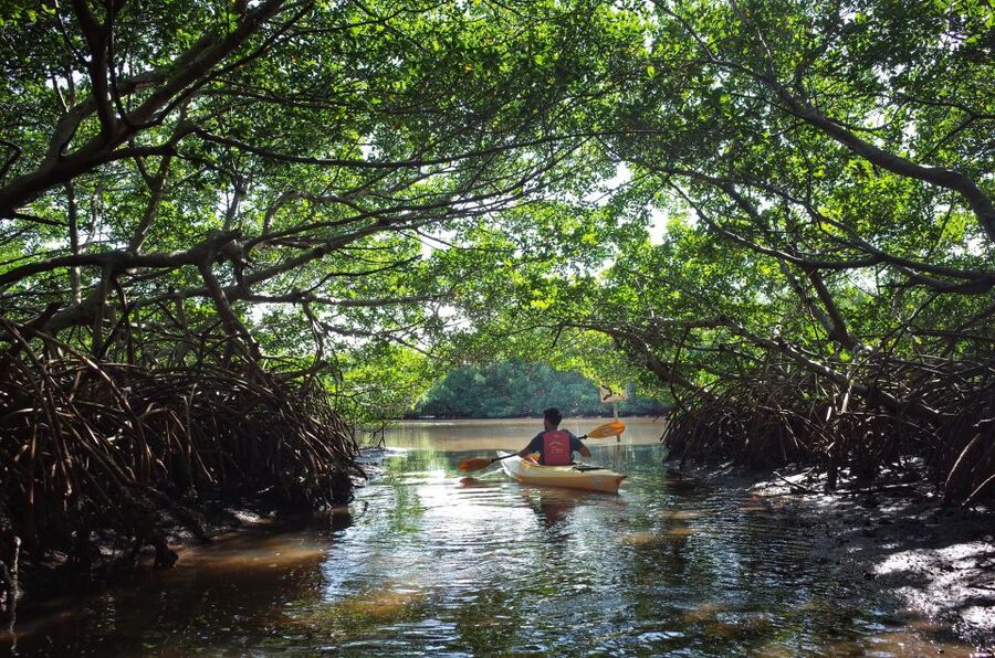 Krabi kayaking Ao thalane - Safety first, then into the mangroves