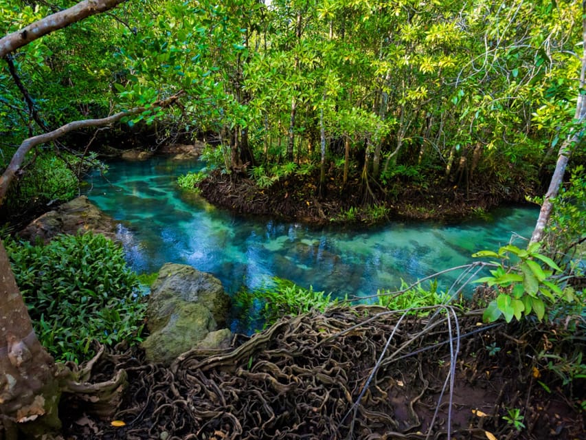 Krabi: Kayaking, Crystal Lagoon, and Fish Spa in Klong Root - What the $38 Price Really Covers