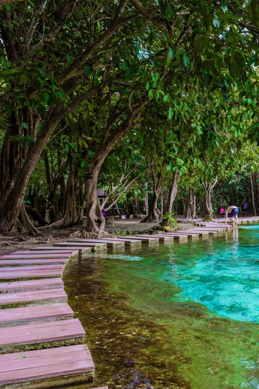 Krabi: Kayaking, Crystal Lagoon, and Fish Spa in Klong Root - Kayaking Through Clear Water and Tree Roots