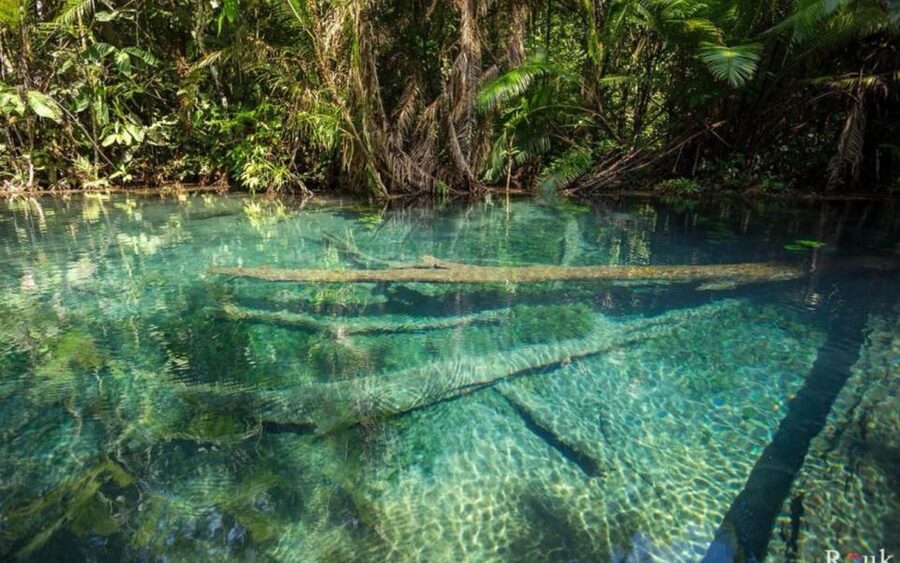 Krabi: Khlong Nam Sai Lagoon with Kayaking & Optional ATV - Paddling through plantations and rainforest