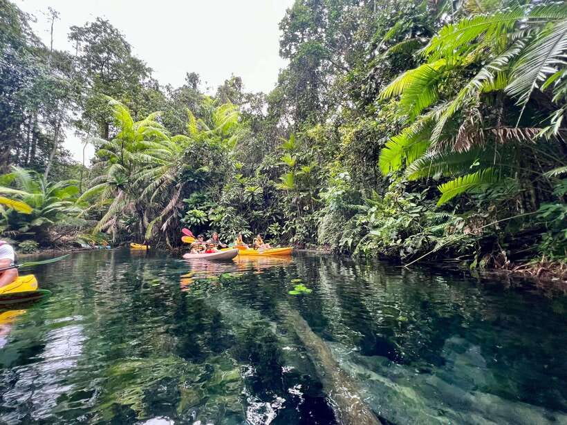 Krabi: Klong Root (Crystal lake) Kayaking tour - Key points to know before booking