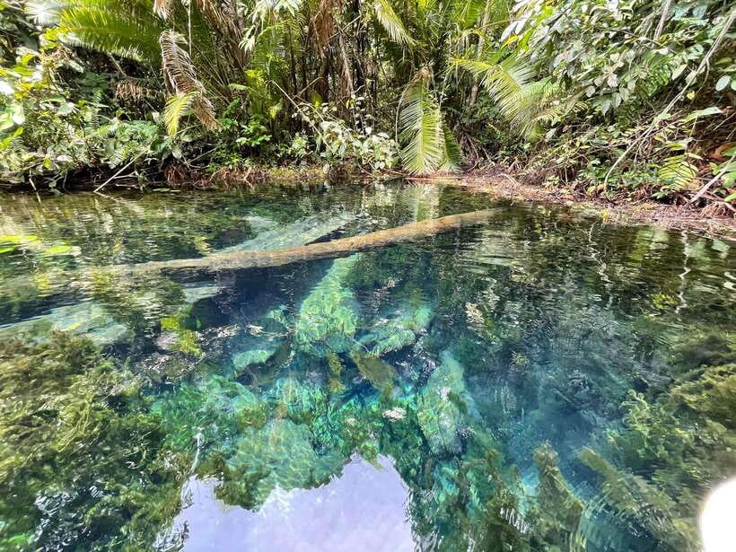 Krabi: Klong Root (Crystal lake) Kayaking tour - Why Klong Root makes a good short trip from Krabi