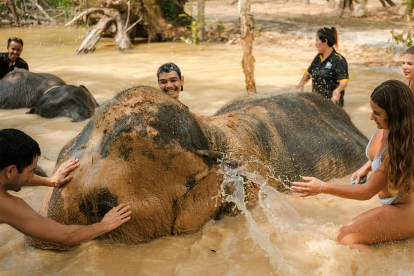 Krabi: Love Elephant Sanctuary Tour - Meeting the elephants near Ao Nang