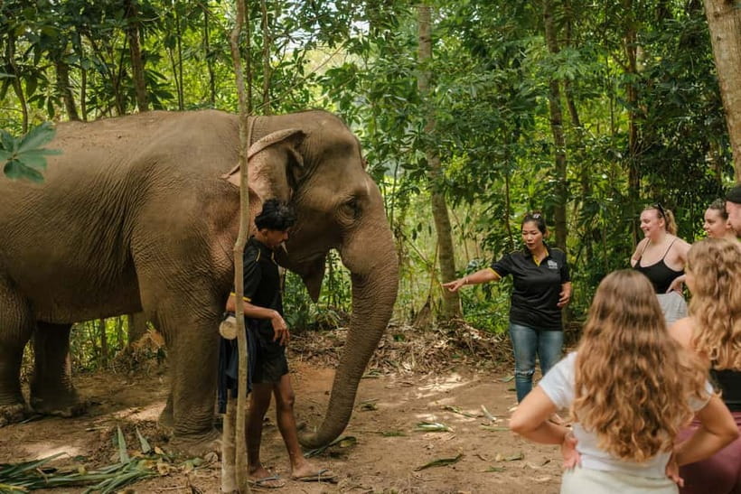 Krabi: Love Elephant Sanctuary Tour - Making herbal medicine for elephant care