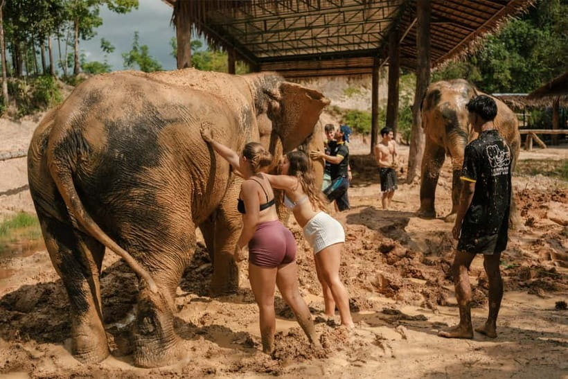 Krabi: Love Elephant Sanctuary Tour - Tuki and the sanctuary team