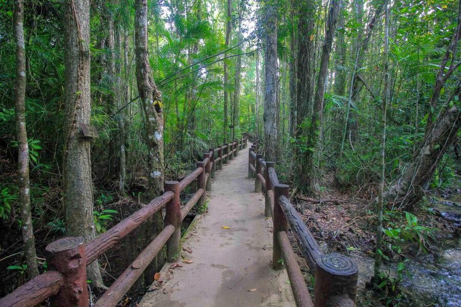 Krabi Outback Explorer with Visit of Tiger Cave Temple - Emerald Pool: the day’s easiest swim