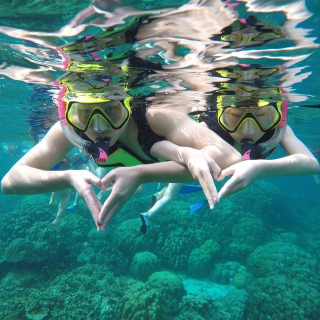 Krabi: Phi Phi Islands Speedboat Tour with Buffet Lunch - A second reef stop and time on Bamboo Island