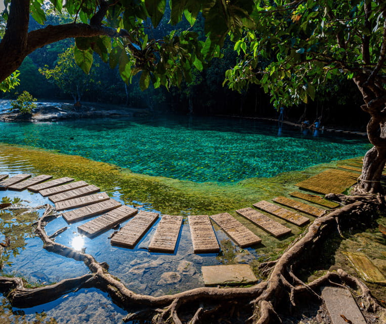 Krabi: Rainforest Jungle Tour with Emerald Pool & Hot Spring - A rainforest day built around three very different stops